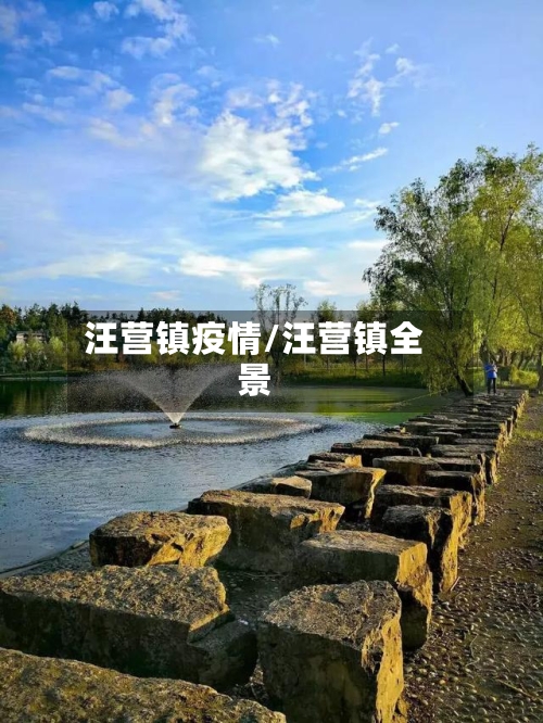汪营镇疫情/汪营镇全景