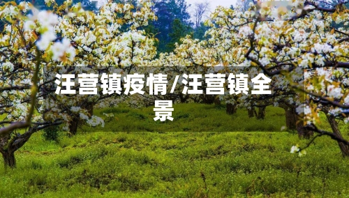 汪营镇疫情/汪营镇全景-第2张图片