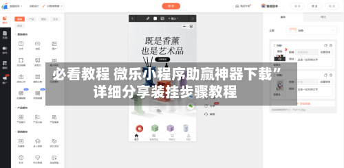 必看教程 微乐小程序助赢神器下载	”详细分享装挂步骤教程-第2张图片