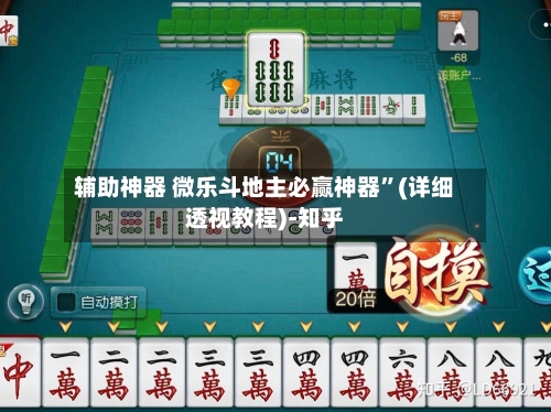 辅助神器 微乐斗地主必赢神器”(详细透视教程)-知乎-第2张图片