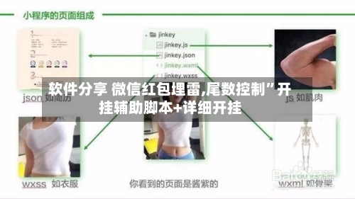 软件分享 微信红包埋雷,尾数控制”开挂辅助脚本+详细开挂-第3张图片