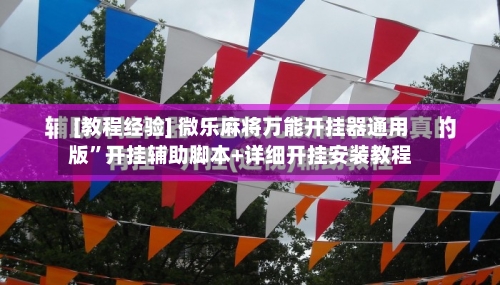 [教程经验] 微乐麻将万能开挂器通用版	”开挂辅助脚本+详细开挂安装教程-第3张图片