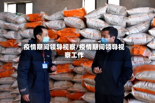 疫情期间领导视察/疫情期间领导视察工作