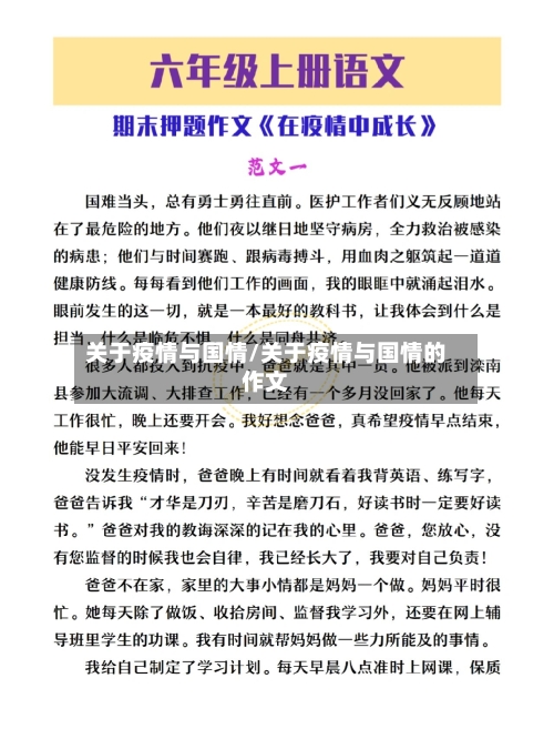 关于疫情与国情/关于疫情与国情的作文-第3张图片