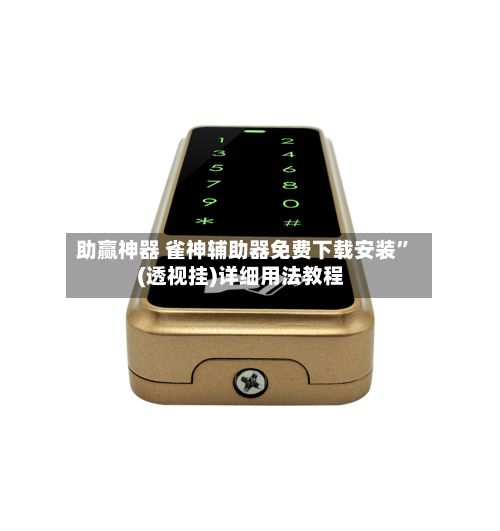 助赢神器 雀神辅助器免费下载安装	”(透视挂)详细用法教程-第3张图片