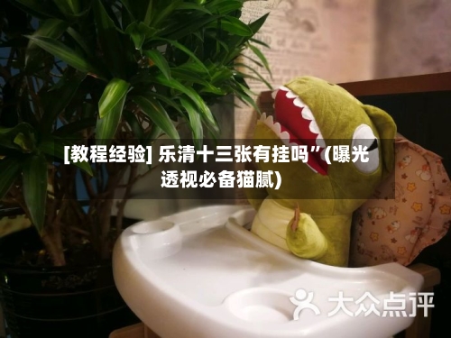 [教程经验] 乐清十三张有挂吗”(曝光透视必备猫腻)
