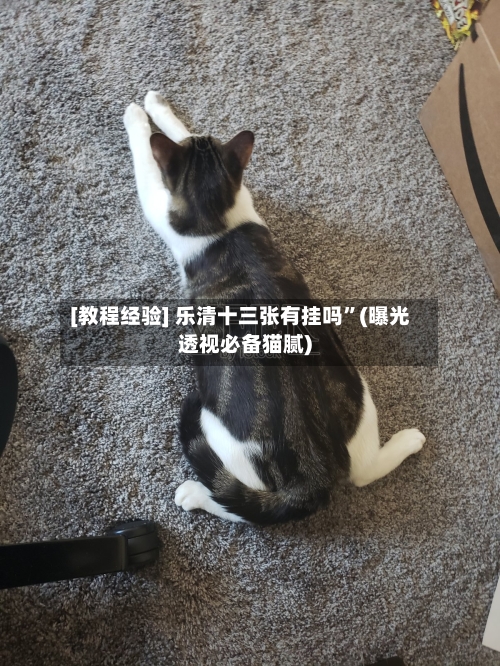 [教程经验] 乐清十三张有挂吗”(曝光透视必备猫腻)-第2张图片