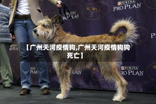 【广州天河疫情狗,广州天河疫情狗狗死亡】