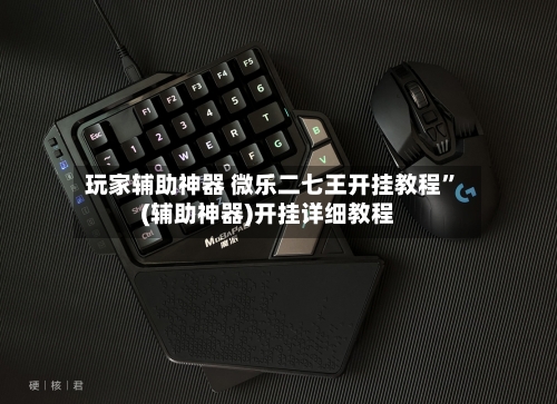 玩家辅助神器 微乐二七王开挂教程”(辅助神器)开挂详细教程-第3张图片
