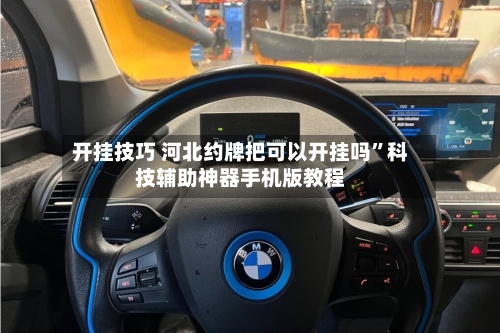 开挂技巧 河北约牌把可以开挂吗”科技辅助神器手机版教程-第2张图片