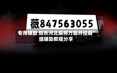 专用辅助 微乐河北麻将万能开挂器	”细辅助教程分享-第2张图片