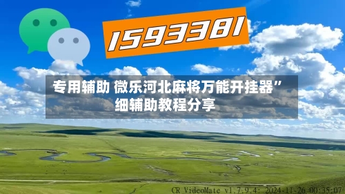 专用辅助 微乐河北麻将万能开挂器”细辅助教程分享-第3张图片