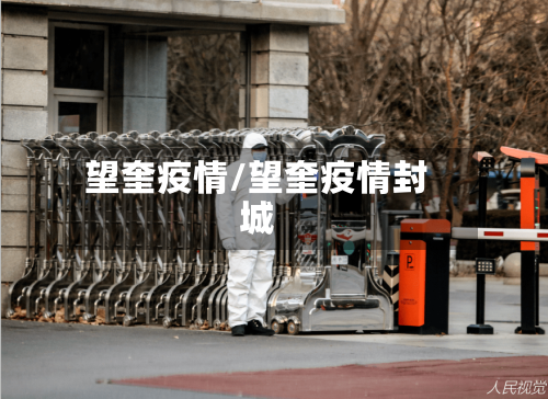 望奎疫情/望奎疫情封城