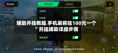 辅助开挂教程 手机麻将挂100元一个”开挂辅助详细步骤-第2张图片