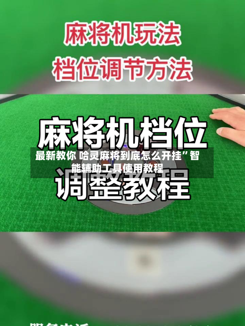 最新教你 哈灵麻将到底怎么开挂”智能辅助工具使用教程-第2张图片