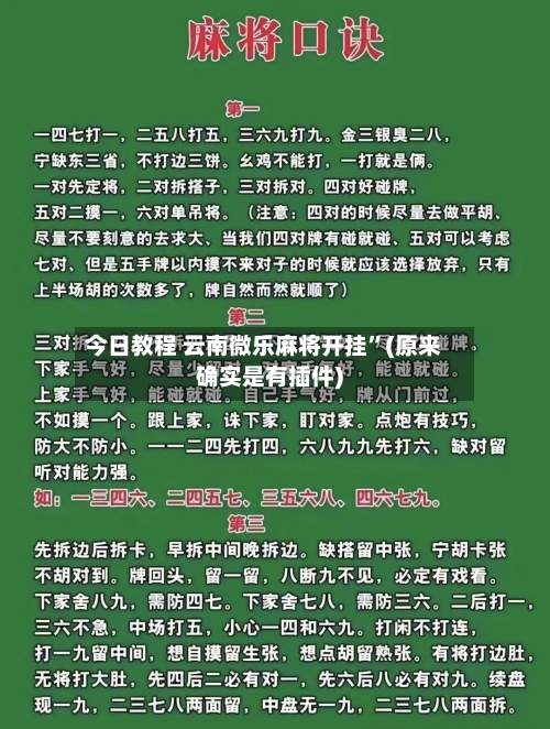 今日教程 云南微乐麻将开挂	”(原来确实是有插件)-第2张图片