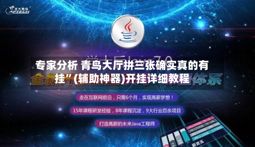 专家分析 青鸟大厅拼三张确实真的有挂	”(辅助神器)开挂详细教程-第2张图片
