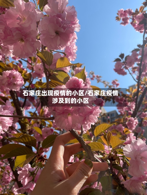 石家庄出现疫情的小区/石家庄疫情涉及到的小区
