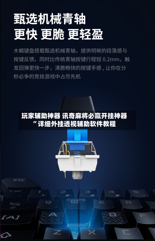 玩家辅助神器 讯奇麻将必赢开挂神器”详细外挂透视辅助软件教程-第3张图片