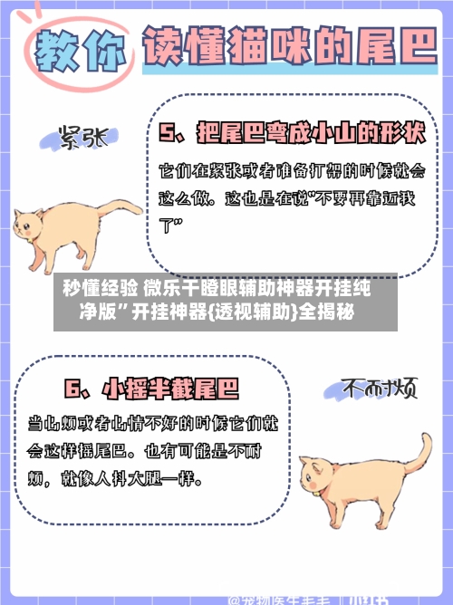 秒懂经验 微乐干瞪眼辅助神器开挂纯净版”开挂神器{透视辅助}全揭秘-第2张图片