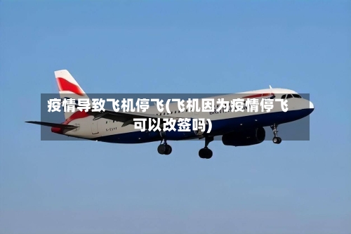 疫情导致飞机停飞(飞机因为疫情停飞可以改签吗)