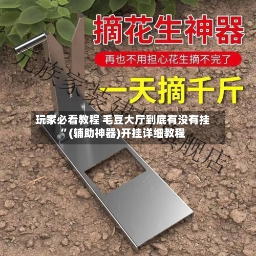 玩家必看教程 毛豆大厅到底有没有挂”(辅助神器)开挂详细教程-第2张图片