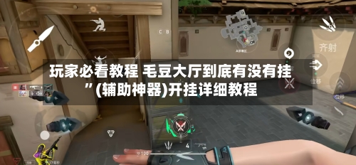 玩家必看教程 毛豆大厅到底有没有挂”(辅助神器)开挂详细教程