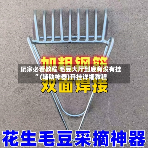 玩家必看教程 毛豆大厅到底有没有挂”(辅助神器)开挂详细教程-第3张图片