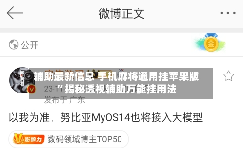 辅助最新信息 手机麻将通用挂苹果版”揭秘透视辅助万能挂用法-第3张图片