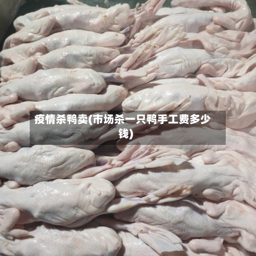 疫情杀鸭卖(市场杀一只鸭手工费多少钱)