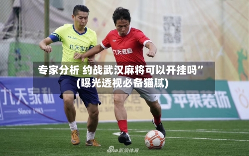 专家分析 约战武汉麻将可以开挂吗”(曝光透视必备猫腻)-第3张图片