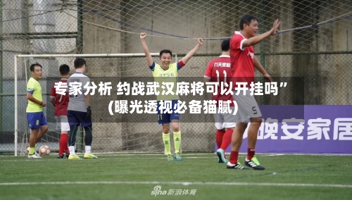 专家分析 约战武汉麻将可以开挂吗	”(曝光透视必备猫腻)-第2张图片
