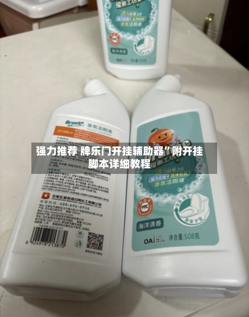 强力推荐 牌乐门开挂辅助器	”附开挂脚本详细教程-第2张图片