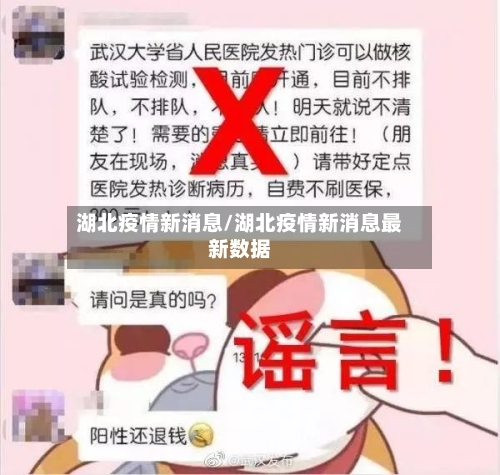 湖北疫情新消息/湖北疫情新消息最新数据