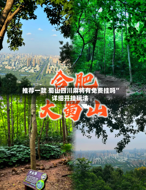 推荐一款 蜀山四川麻将有免费挂吗”详细开挂玩法-第3张图片