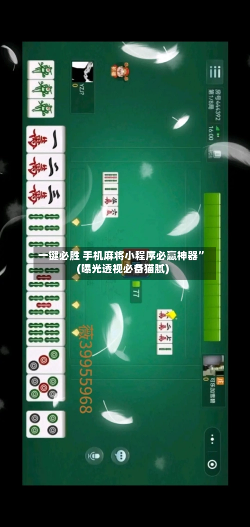 一键必胜 手机麻将小程序必赢神器”(曝光透视必备猫腻)-第2张图片