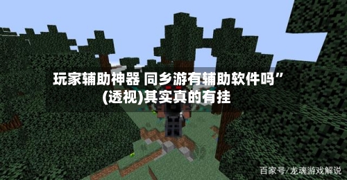玩家辅助神器 同乡游有辅助软件吗	”(透视)其实真的有挂-第2张图片