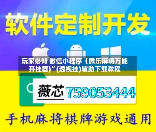 玩家必知 微信小程序（微乐麻将万能开挂器)”(透视挂)辅助下载教程-第2张图片