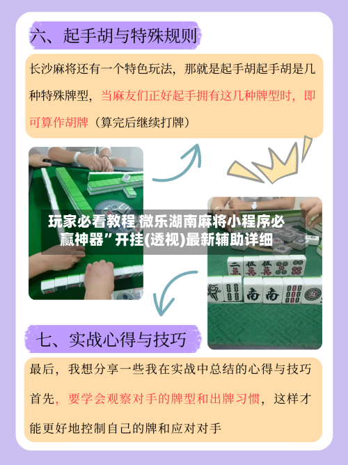 玩家必看教程 微乐湖南麻将小程序必赢神器”开挂(透视)最新辅助详细-第2张图片