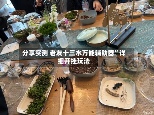 分享实测 老友十三水万能辅助器”详细开挂玩法