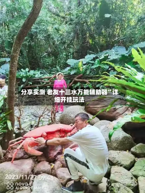 分享实测 老友十三水万能辅助器”详细开挂玩法-第3张图片