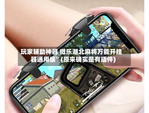 玩家辅助神器 微乐湖北麻将万能开挂器通用版”(原来确实是有插件)