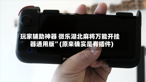 玩家辅助神器 微乐湖北麻将万能开挂器通用版”(原来确实是有插件)-第3张图片