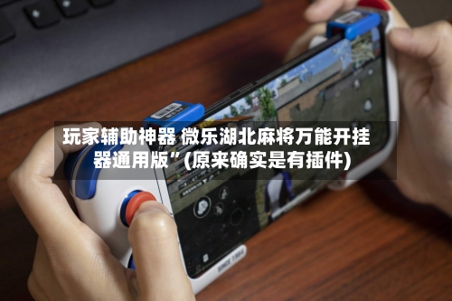 玩家辅助神器 微乐湖北麻将万能开挂器通用版	”(原来确实是有插件)-第2张图片