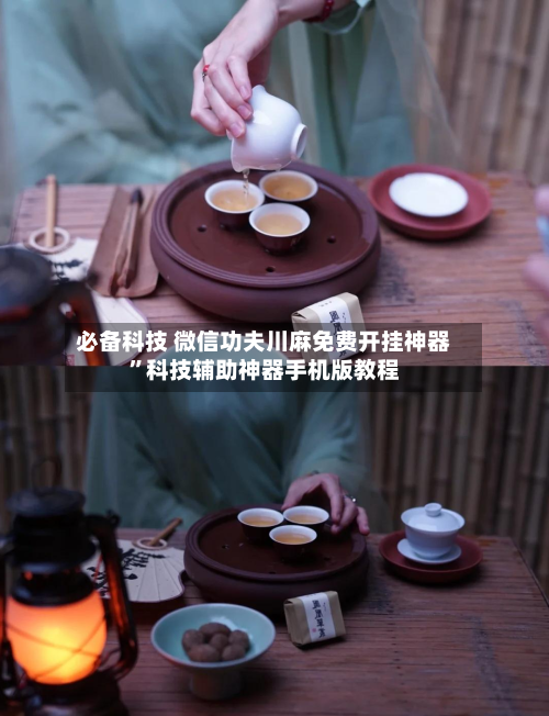 必备科技 微信功夫川麻免费开挂神器”科技辅助神器手机版教程