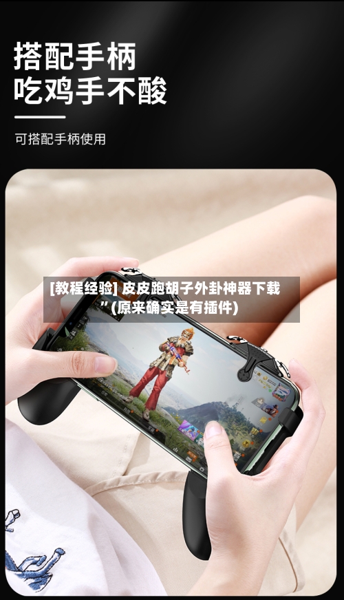 [教程经验] 皮皮跑胡子外卦神器下载	”(原来确实是有插件)-第2张图片