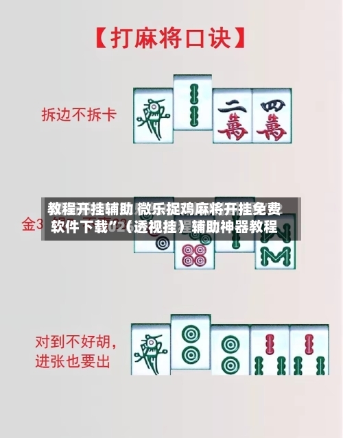 教程开挂辅助 微乐捉鸡麻将开挂免费软件下载”（透视挂）辅助神器教程-第3张图片