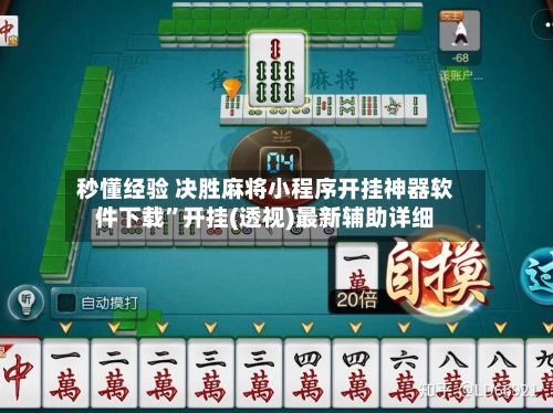 秒懂经验 决胜麻将小程序开挂神器软件下载	”开挂(透视)最新辅助详细-第2张图片