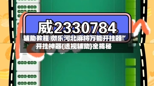 辅助教程 微乐河北麻将万能开挂器	”开挂神器{透视辅助}全揭秘-第2张图片