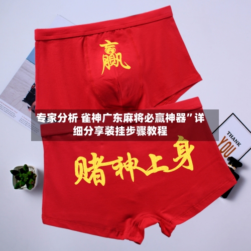 专家分析 雀神广东麻将必赢神器”详细分享装挂步骤教程-第3张图片